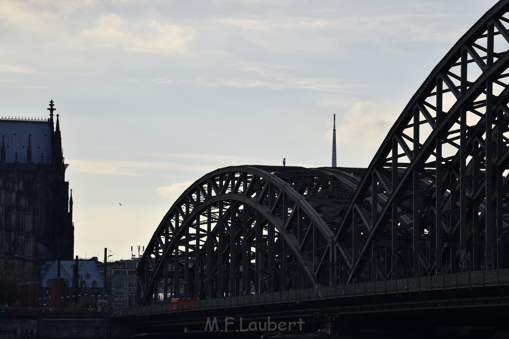 PSpringt kein Suizid Brueckenspringer Koeln Hohenzollernbruecke P053.JPG - Miklos Laubert